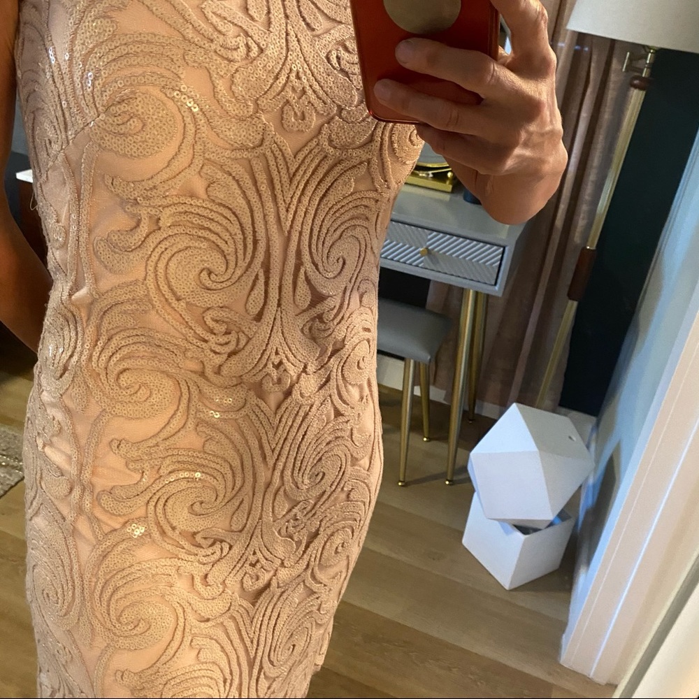Vince Camuto Blush Lace Dress - Picture 10 of 13